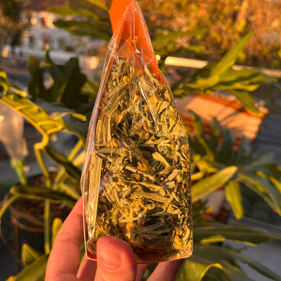 Sabores pal mate