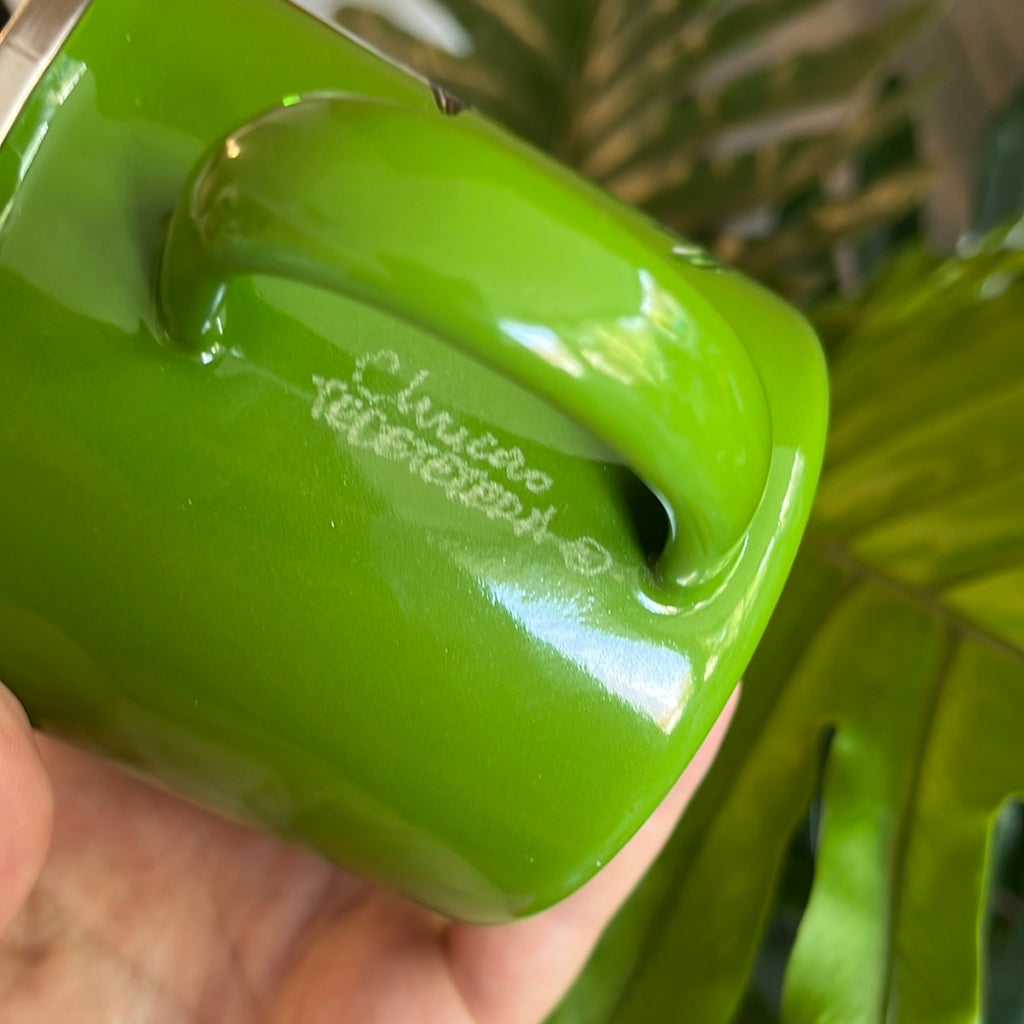 Jarro verde enlozado 300 ml Chucao